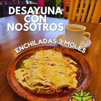 Enchiladas para desayuno